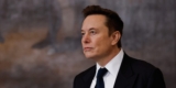 Elon Musk Responds to Tesla FSD Working a Purple Mild