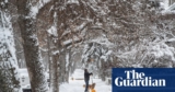 A whole bunch of 1000’s of Canadians face energy outages as a result of ice storm | Canada