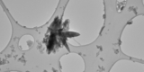 Microplastics’ Thriller Hyperlink to Stroke, Coronary heart Assault — New Clues