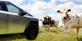 Tesla Actually Needs the Cybertruck to Be a Working Man’s Truck