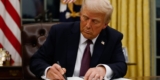 Trump Orders Federal DEI Roles Terminated, Employees on Go away Instantly