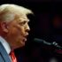 Trump pardons Ross Ulbricht, founding father of Silk Street drug market | Donald Trump