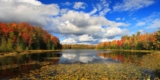 We Left Florida so We May Purchase a Home; Moved to Wisconsin, Love It